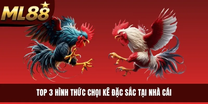 Top 3 hình thức chọi kê đặc sắc tại nhà cái